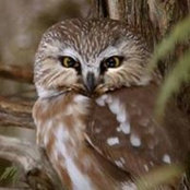 Laura B's photo