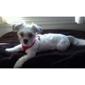 Gail Claypool's photo