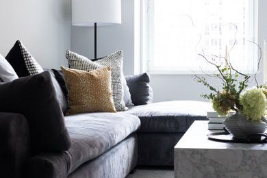 Example of a minimalist living room design in New York
