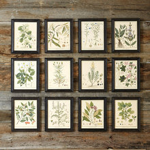 decorating walls