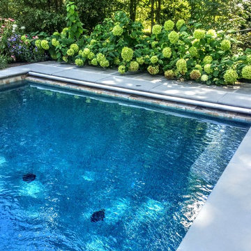 Edelman Residence