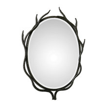 morrors