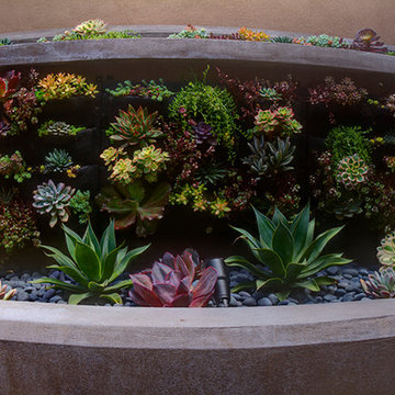 Strategically Placed Succulents