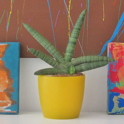 Paintings at home - Paintings