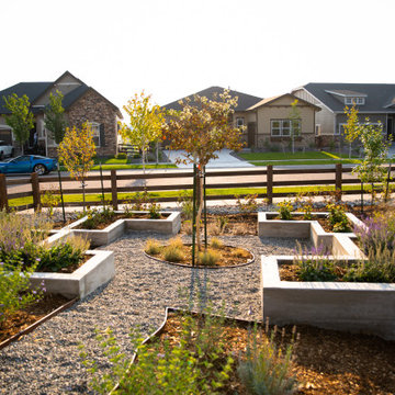 Modern Low-Maintenance Garden
