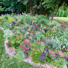 Current Garden