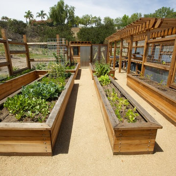 Vegetable Structure