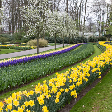 Keukenhof: World's Largest Bulb Garden
