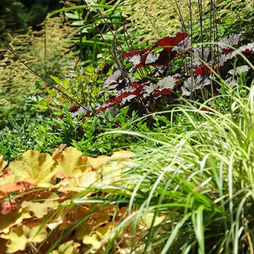 A Close Up of Some of Our Favorite Landscapes
