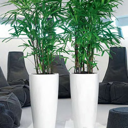 Modern Planter - Products