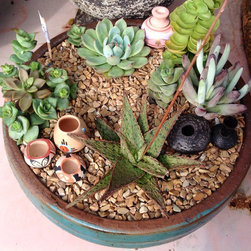 Succulent arrangements - Products