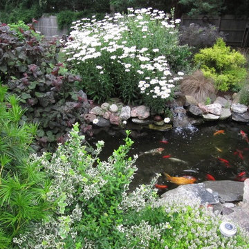 Ponds