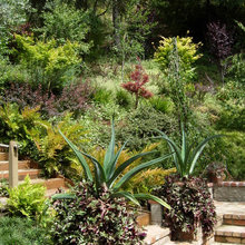 Garden Inspiration