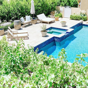Let's Take a Dip