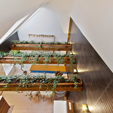 Indoor Plants