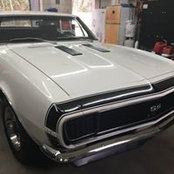 Donna Bailey's photo