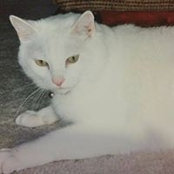 Natasha Prodan's photo