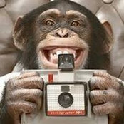 Michael Molumby's photo