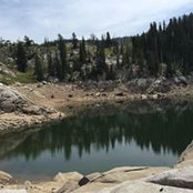 Max Borodovich's photo