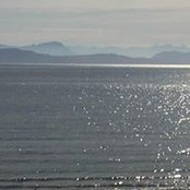 Laurie Proctor's photo