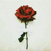 Foto von Rasha Hamzeh