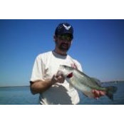 Jim Hardin's photo