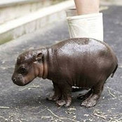 Foto von Caroline Autret