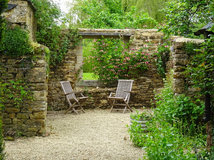 7 Low-Maintenance Lawn Alternatives