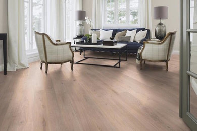 Example of a transitional living room design in Miami