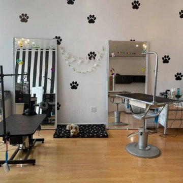 Why dog grooming is essential?