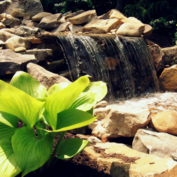 Water Features