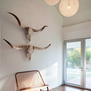 カンザスシティの片開きドアサンタフェスタイルのおしゃれな玄関ロビー (白い壁、ガラスドア) の写真