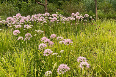 Slope Meadow Planting