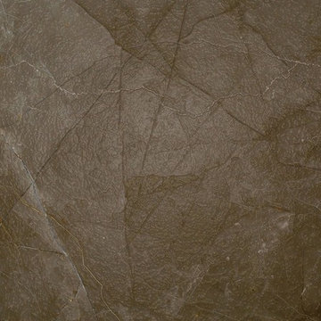 Antolini Zerobact- Bronze Armani
