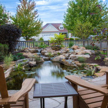 Ecosystem Ponds
