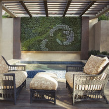 Landscape Ideas