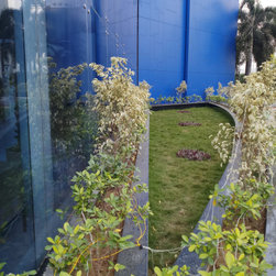 DELL INTERNATIONAL - Plants