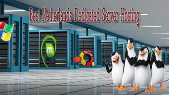 Netherlands DedicatedServer