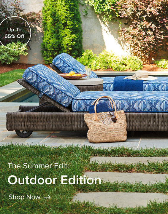 Traditional Mimi Sky Area Rug - 