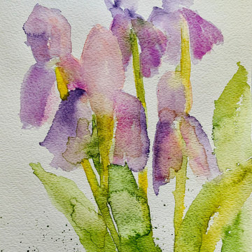 Original Paintings