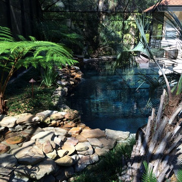 Jungle Love Pool Area