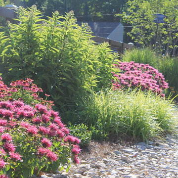 A New Home's Front Yard Pollinator Garden