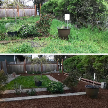 Yard Cleanups