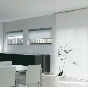 Designer Collection Roller Shades Delion Fabric