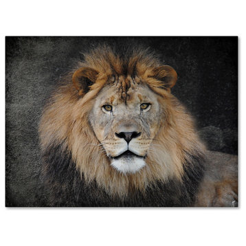 Jai Johnson 'Male Lion Portrait 1' Canvas Art, 24 x 18
