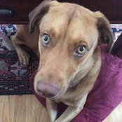 Terri Weiss-Guerra's photo