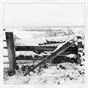 Julie Dillon's photo
