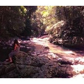 Jacqueline Cain's photo