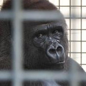Harris Kusnandar's photo