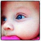 Allexis Scheffe's photo
